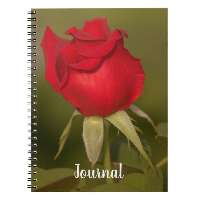 Nostalgisches Rote Rose Journal Notizblock (Vorderseite)