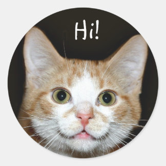 Nosy-Katze Runder Aufkleber