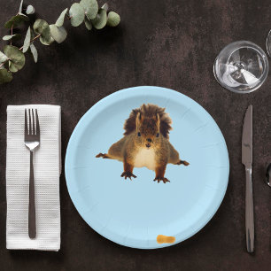 Nosy red squirrel in snow blue pappteller