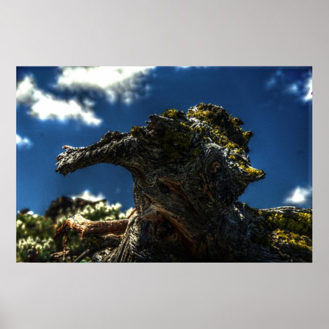 Not a Goat Poster (Vorne)