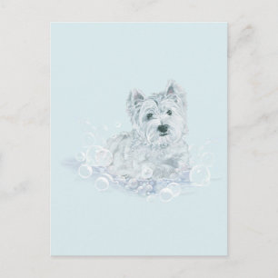 Not Another Postkarte