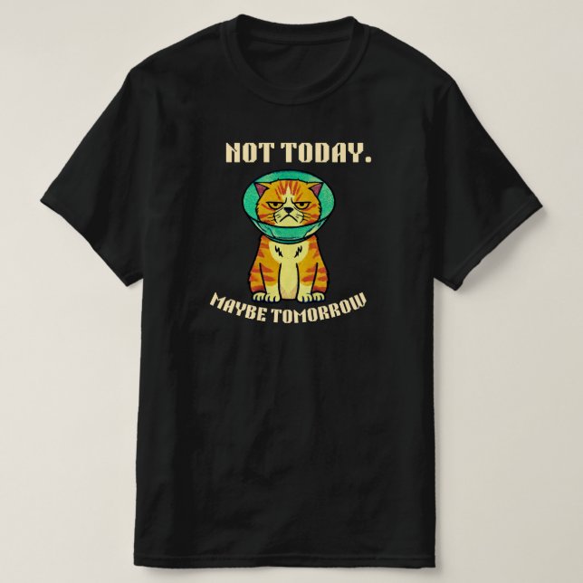 Not Today Maybe Tomorrow Funny Grumpy Cat Design T-Shirt (Design vorne)