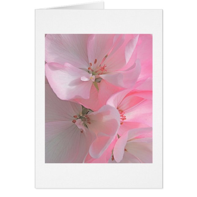 Note blanche de jolies fleurs roses (Devant)