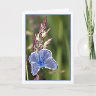 Note Card - Common Blue Male Butterfly - Polyommat Karte