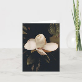 Note Card mit Magnolia Blossom Karte