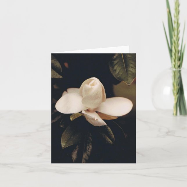 Note Card mit Magnolia Blossom Karte (Vorderseite)