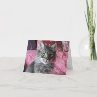 Note Carte avec chaton photo