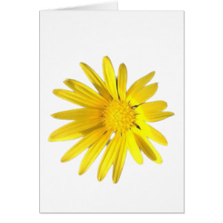 Note de marguerite - Blanc pour votre personnalisa