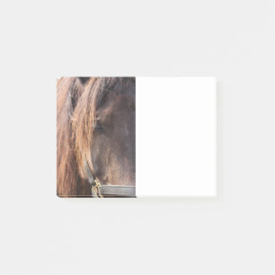 Note de post-it de cheval