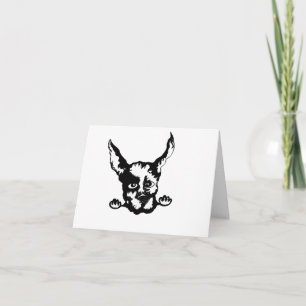 Note : Doberman