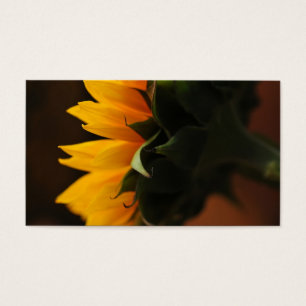 Note douce (tournesol)