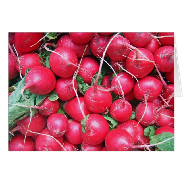 Note d'Radis (Devant Horizontal)