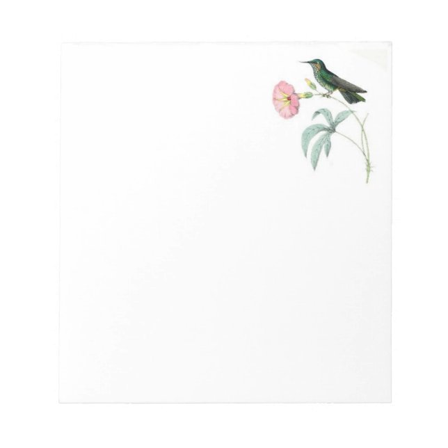Note Pad with Hummingbirds Notizblock (Vorderseite)