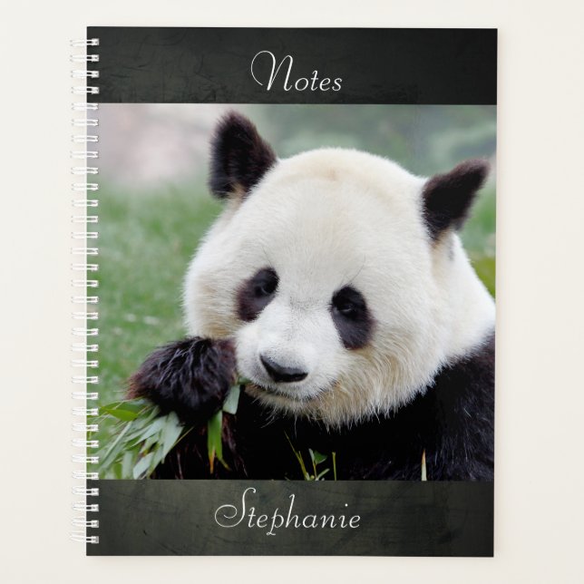Notebook-Foto Riesenpanda , Tiere 01. Notebook Planer (Vorderseite)