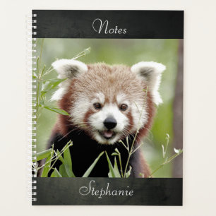 Notebook Foto rot Panda , Tiere 01. Notizbuch Planer