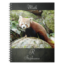 Notebook Foto rot Panda , Tiere 0437. Notizblock