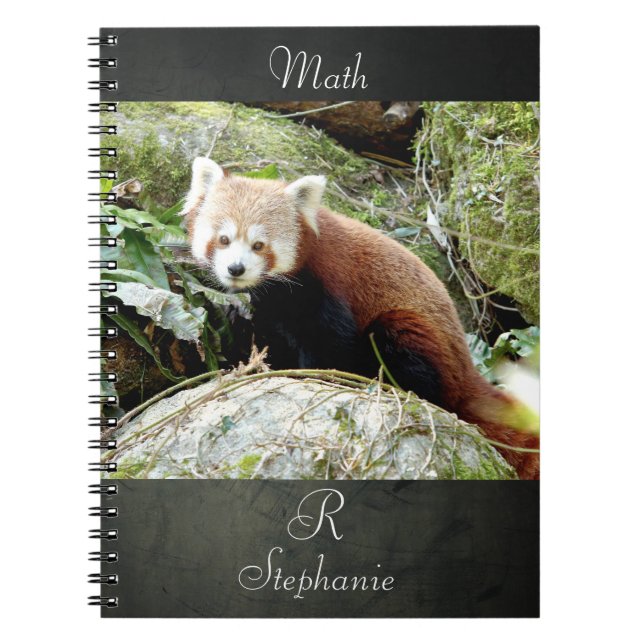 Notebook Foto rot Panda , Tiere 0437. Notizblock (Vorderseite)