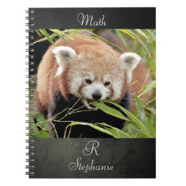 Notebook Foto rot Panda , Tiere 0443. Notizblock