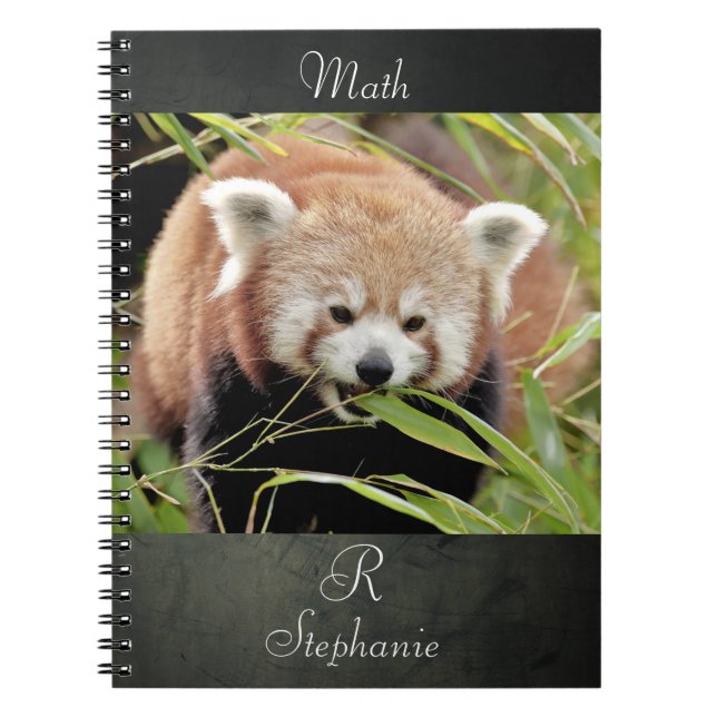 Notebook Foto rot Panda , Tiere 0443. Notizblock (Vorderseite)