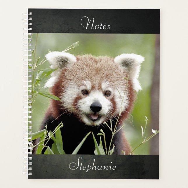 Notebook-Foto Rote Panda , Tiere 01. Notizbuch Planer (Vorderseite)