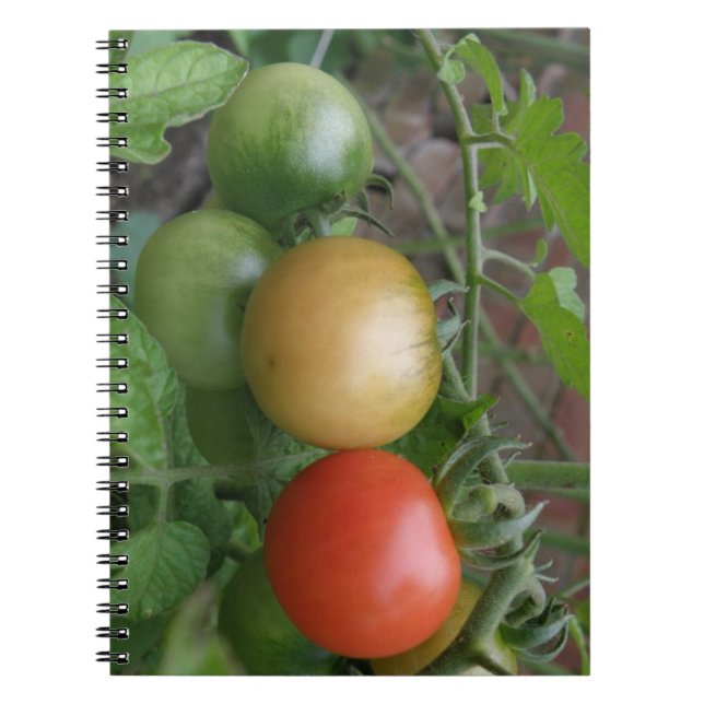 Notebook für leichte Tomaten Notizblock (Vorderseite)