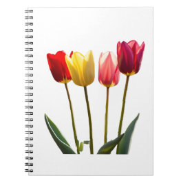 NOTEBOOK FÜR TULIP NOTIZBLOCK