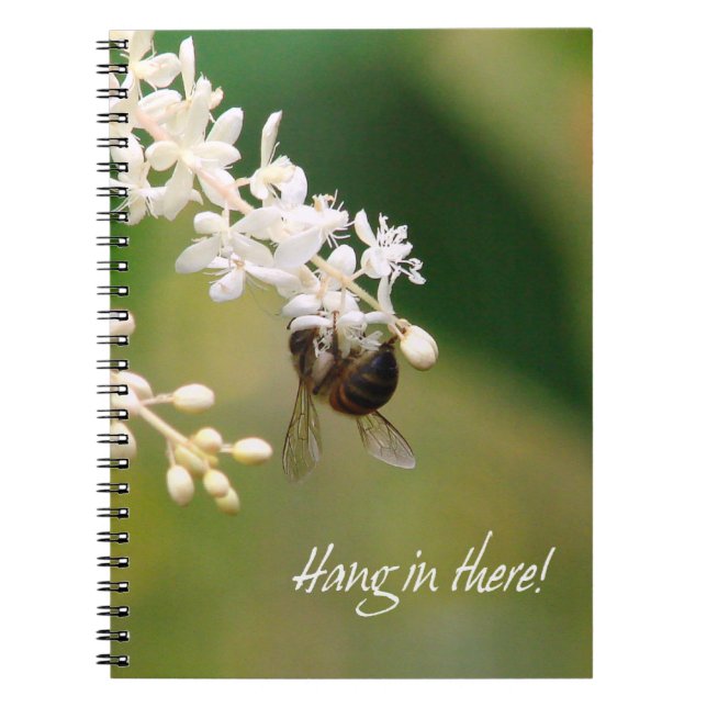 Notebook "Hang in There" Notizblock (Vorderseite)
