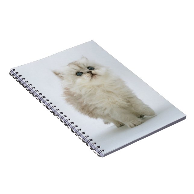 Notebook-Kitten Notizblock (Rechte Seite)