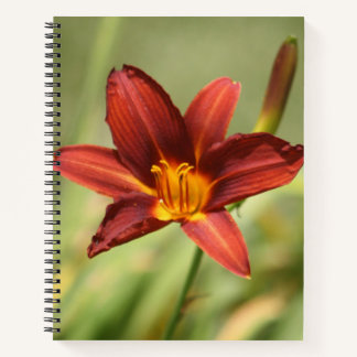 Notebook mit roter Taglilie Blume Notizbuch