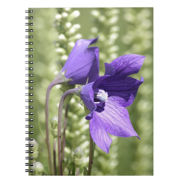 Notebook mit Soft Green und Lila Blume Notizblock (Vorderseite)