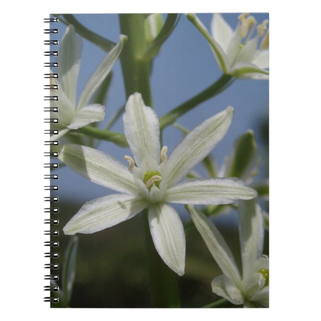 Notebook mit weißer Blume Notizblock (Vorderseite)