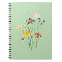 Notebook Nirvana: Die besten Designs für Sie