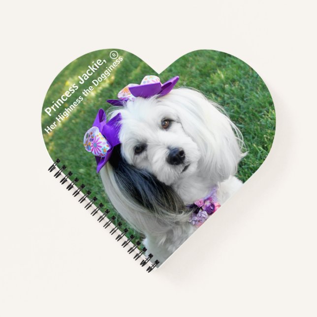 Notebook Notizbuch (Vorderseite)