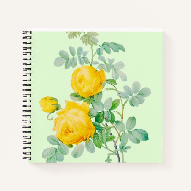 NOTEBOOK NOTIZBUCH (Vorderseite)