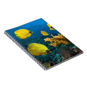 Notebook-Tropischer Fisch Notizblock