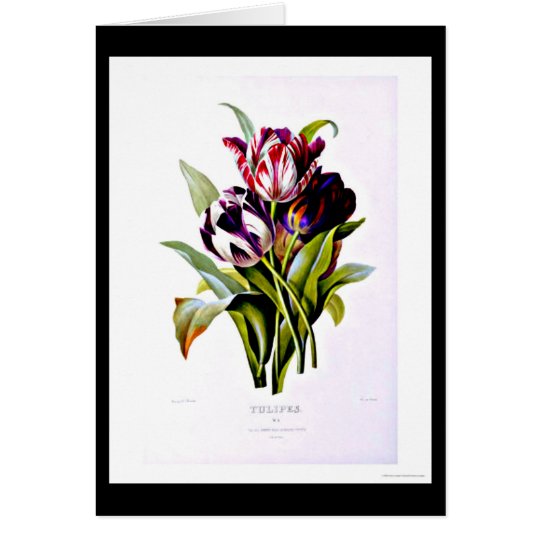 Notecard-Botanicals-Pierre Joseph Redoute 15 Karte