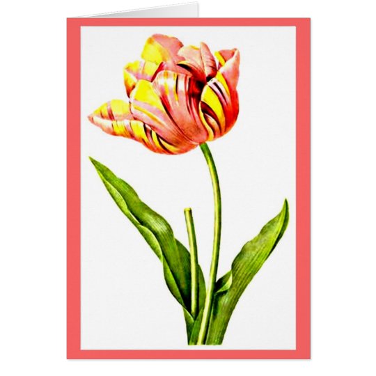 Notecard-Botanicals-Pierre Joseph Redoute 21 Karte