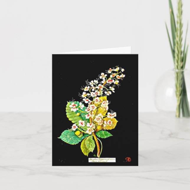Notecard-Botanische Kunst-Mary Delany 10 Karte (Vorderseite)