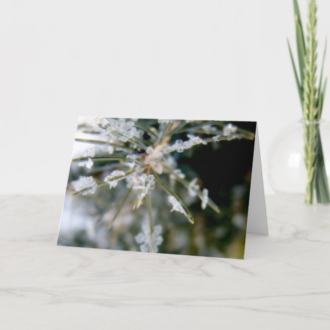 NOTECARD, Eiskristalle auf gezierten Nadeln 1 Karte (Vorderseite)