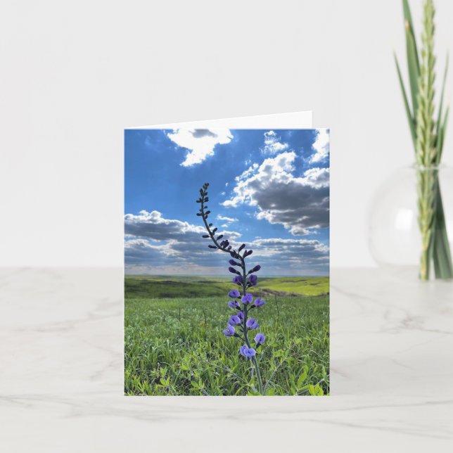 Notecard für lila Blume (innen leer) Karte (Vorderseite)