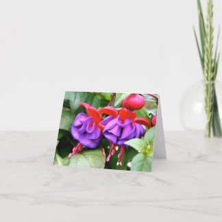 Notecard Fuschia Karte