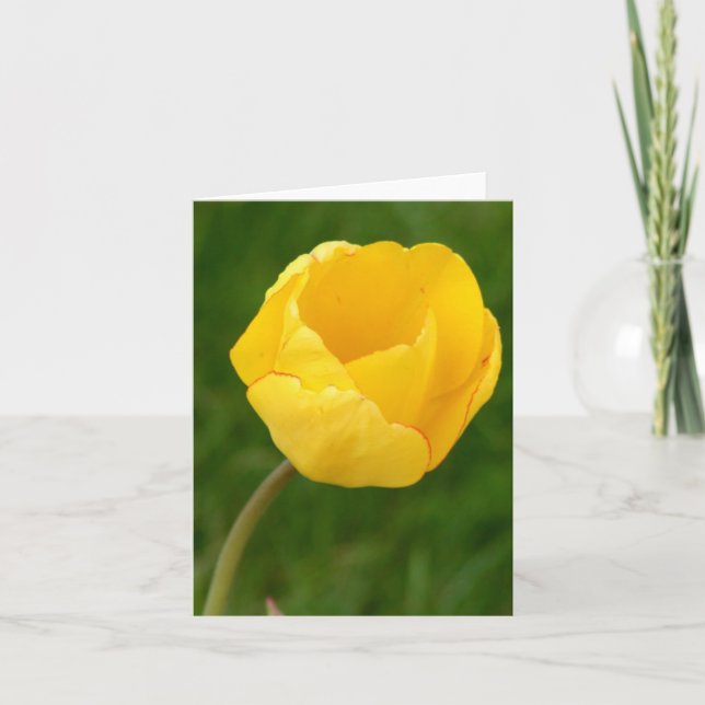 Notecard gelbe Tulpe Karte (Vorderseite)
