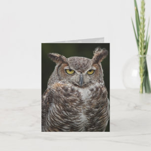 Notecard Horned Owl Karte
