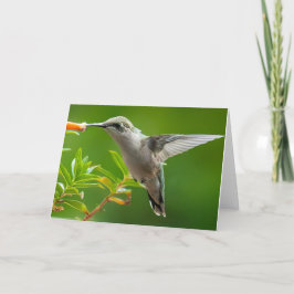 Notecard Hummingbird Dankeskarte