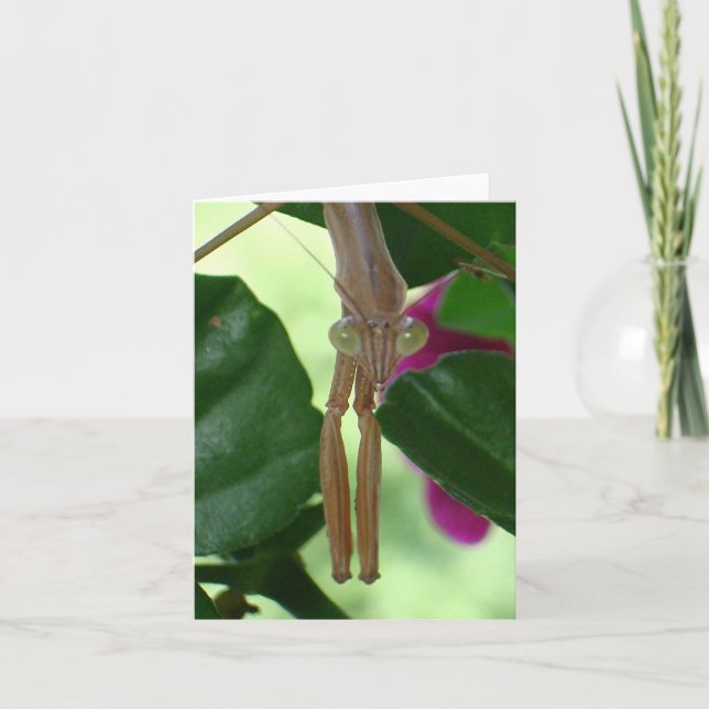 Notecard Karte (Vorderseite)