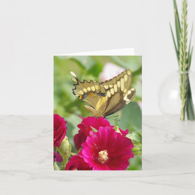 Notecard mit Frack Butterfly Karte (Vorderseite)