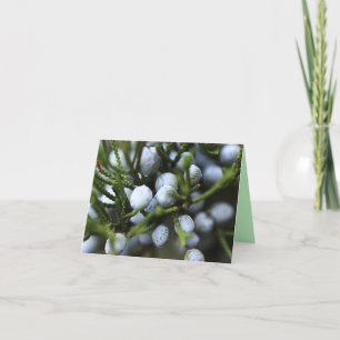 Notecard mit Juniper Berries Karte