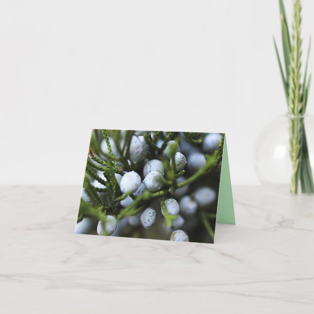 Notecard mit Juniper Berries Karte (Vorderseite)