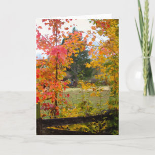 NOTECARD MIT ROTEM BAUM KARTE