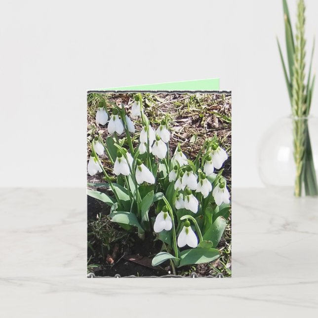 Notecard mit Snowdrops! Karte (Vorderseite)
